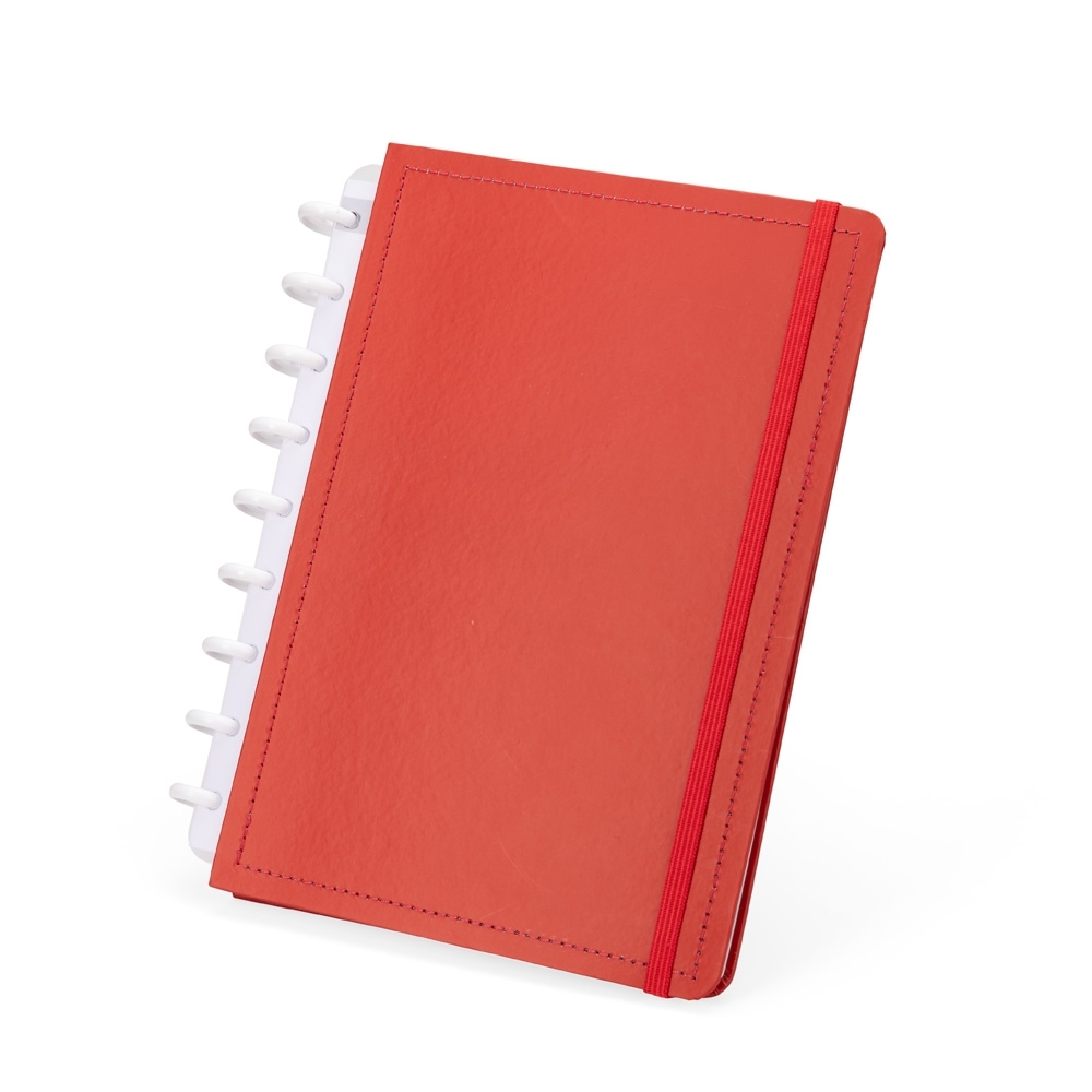 Caderno de Disco - Imagem 3