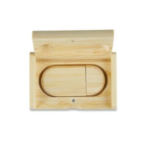 Kit Pen Drive Ecológico 4GB/8GB/16GB/32GB